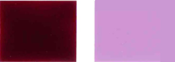 Pigment-violent-19-Color